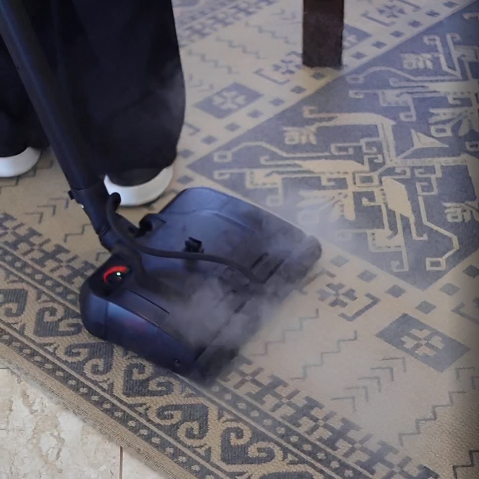 qualifest-clean (6) (1)